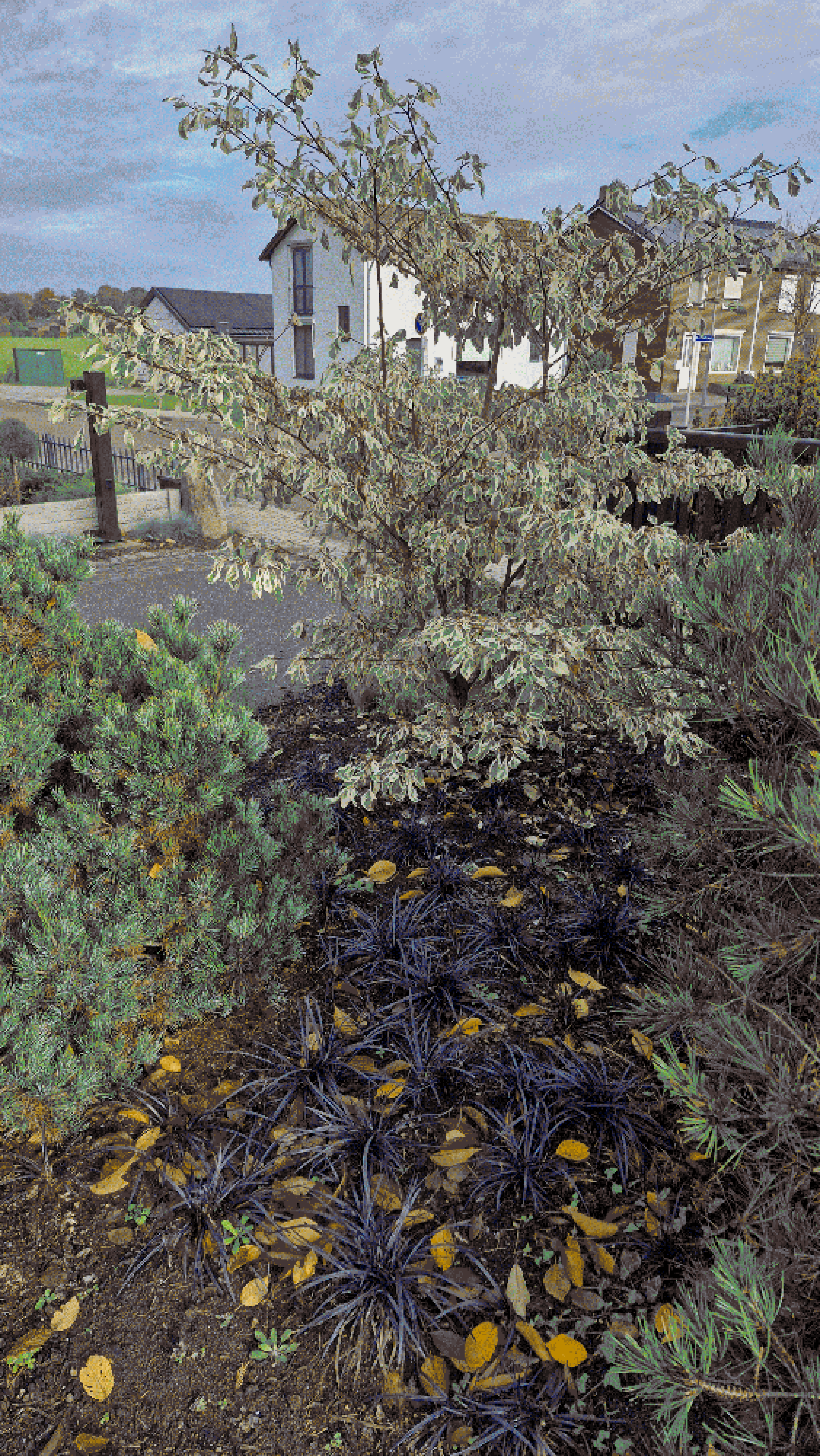 dither_it_1. 20251103_110351.jpg