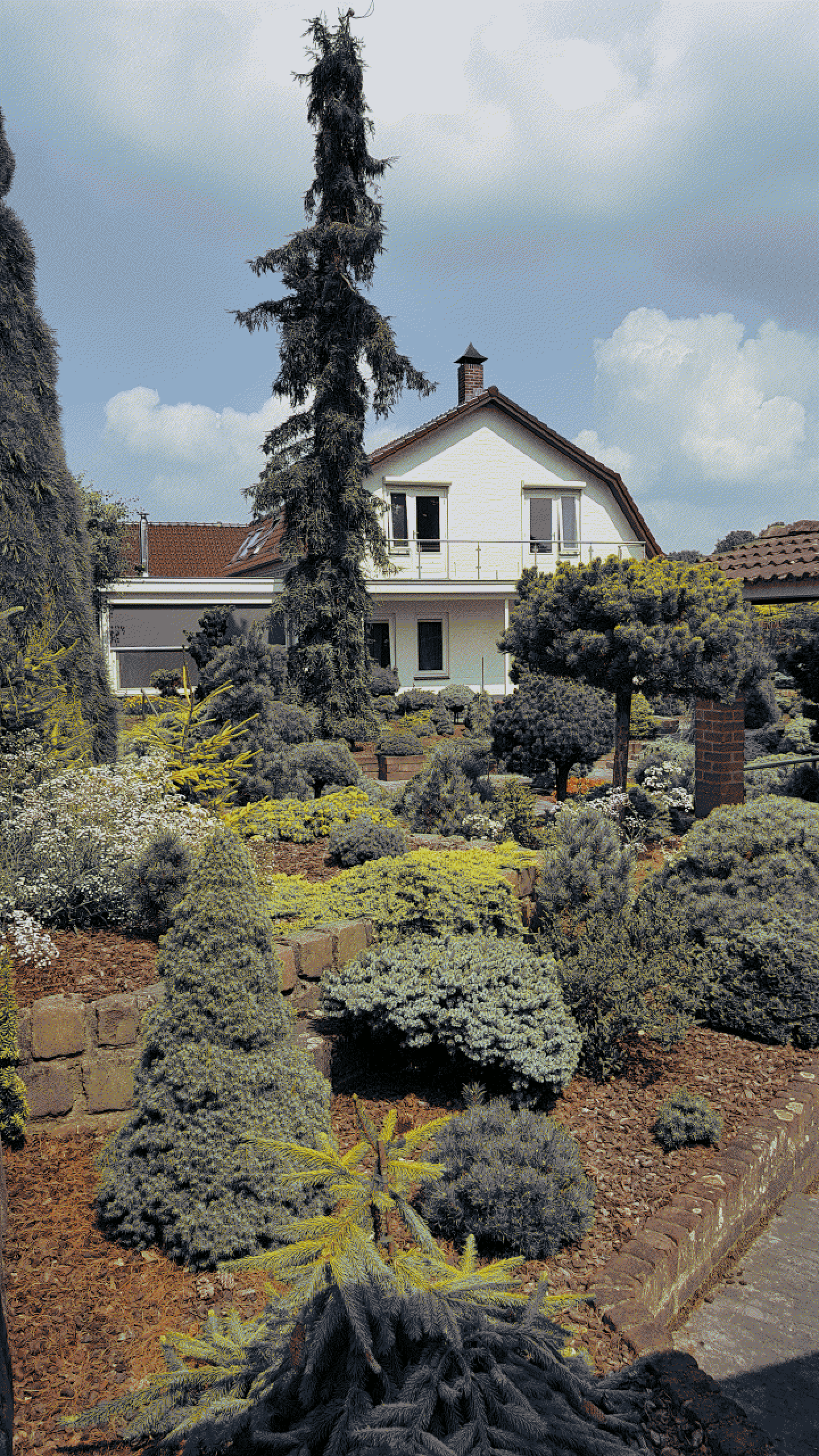 dither_it_11. 20210722_123311.jpg